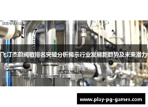 飞汀杰蔚阀敏排名突破分析揭示行业发展新趋势及未来潜力